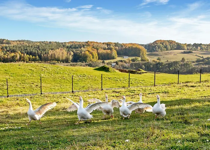 1 Bedroom Lovely In 아파트 고우비에